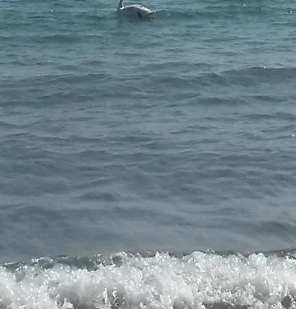 2 Bedroom Sea St.vlas Apartmán Sveti Vlas